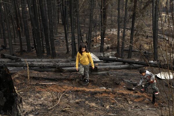 Incendios forestales arrasan campos de Corrientes, fronteriza con Paraguay - Mundo - ABC Color