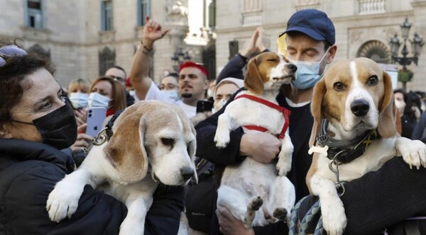 MUNDO | Suiza podría ser el primer país en prohibir experimentos médicos con animales y humanos