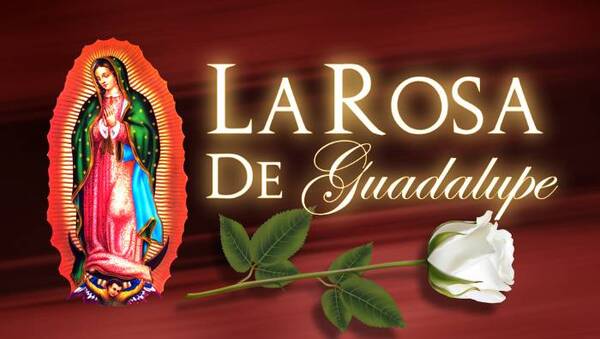 Crónica / ¡Este es el secreto del furor por "La rosa de Guadalupe"!