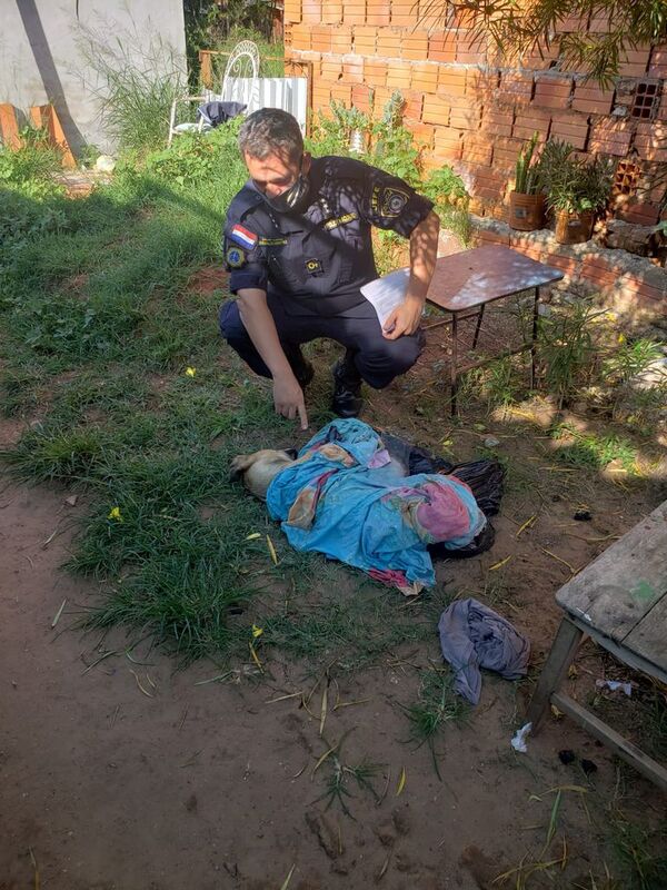 Detienen a un hombre por ser sospechoso de disparar y matar a un perro - Nacionales - ABC Color