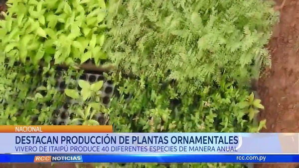 DEESTACAN PRODUCCIÓN DE PLANTAS ORNAMENTALES