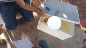 Dio a luz en el baño, el bebé se murió y lo tiró a la basura