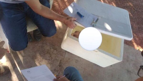 Dio a luz en el baño, el bebé se murió y lo tiró a la basura