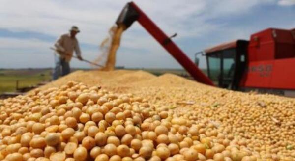Prevén menor producción de soja en la región; Paraguay es el más afectado - ADN Digital