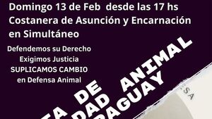 Exhumarán a Princesa para determinar su causa de muerte
