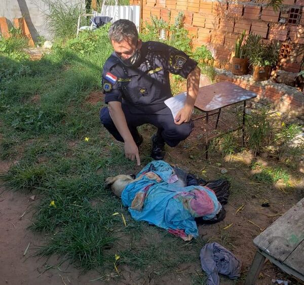Capiatá: Un hombre mató de un disparo a la perrita de su vecina porque entró a su patio