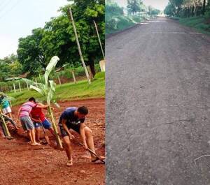 Crónica / Plantaron banana en un camino vecinal y el intendente les escuchó
