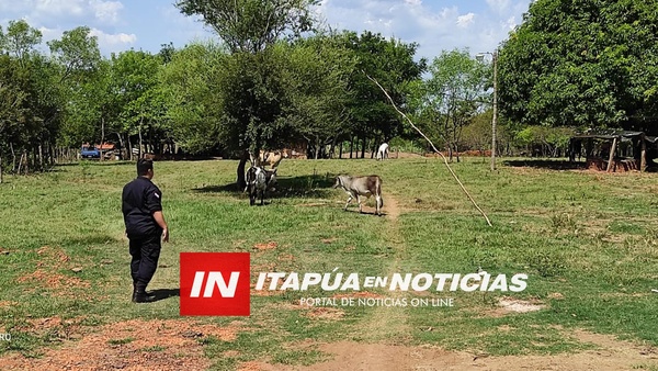 VARIOS ANIMALES RECUPERADOS EN CORONEL BOGADO - Itapúa Noticias