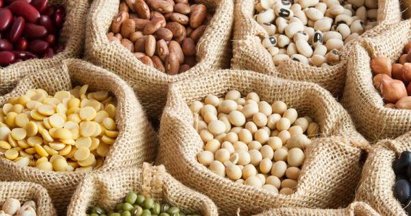 Salud: conocé la importancia de incluir legumbres en la alimentación