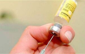 Exigirán certificado de vacunación contra la fiebre amarilla - ADN Digital