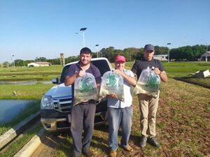 Pequeños productores piscícolas de Misiones, Caazapá e Itapúa reciben alevines para cría en estanque