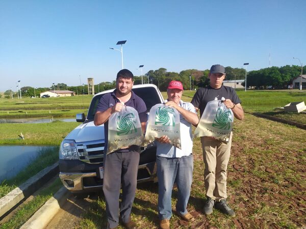 Pequeños productores piscícolas de Misiones, Caazapá e Itapúa reciben alevines para cría en estanque
