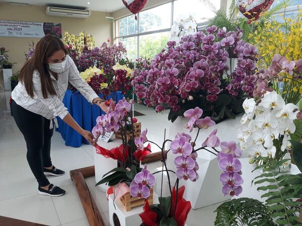 Feria de orquídeas para enamorarse en la sede del MAG de San Lorenzo - Nacionales - ABC Color
