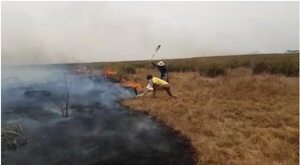 Incendios se vuelven incontrolables en Ñeembucú y reportan muchos animales muertos - Nacionales - ABC Color