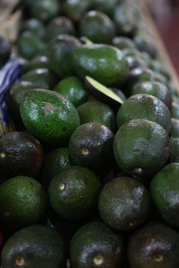 El estado mexicano de Michoacán no podrá enviar aguacates a Estados Unidos - MarketData