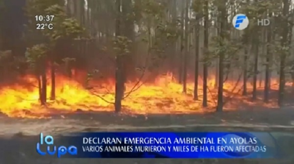 Declaran emergencia ambiental en Ayolas