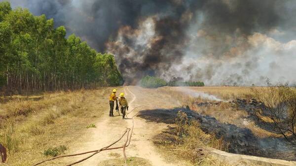 Crónica / Incendios forestales: Declaran emergencia ambiental en Ayolas