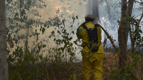 Ante ola de incendios, declaran emergencia ambiental en Ayolas