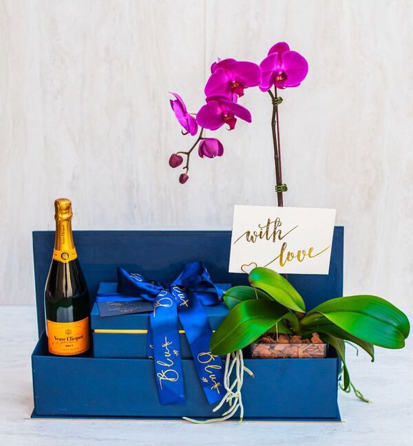 Keiki: orquídeas que representan amor eterno