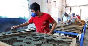 La Nación / Maahsa, empresa que hace patria, triunfa en competitivos mercados