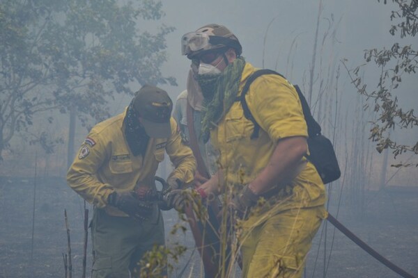 Bomberos controlan incendio forestal en Ayolas, pero siguen en alerta - ADN Digital