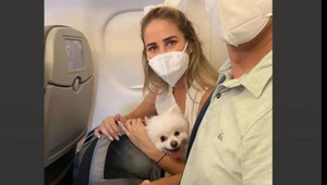 Crónica / Chiche y su novia Mavi llevaron de vacaciones con ellos a su perrito