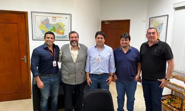 Concejales de Franco se reúnen con alto jefe de Itaipu