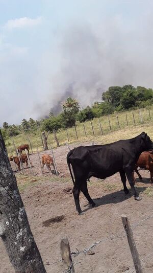 La sequía y el incendio traen consecuencias negativas a los productores agrícolas y ganaderos - Nacionales - ABC Color