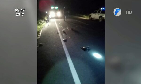 Bajó para orinar y murió arrollado en San Pedro del Paraná | Telefuturo