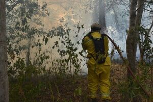 Ante ola de incendios, declaran emergencia ambiental en Ayolas - Noticiero Paraguay