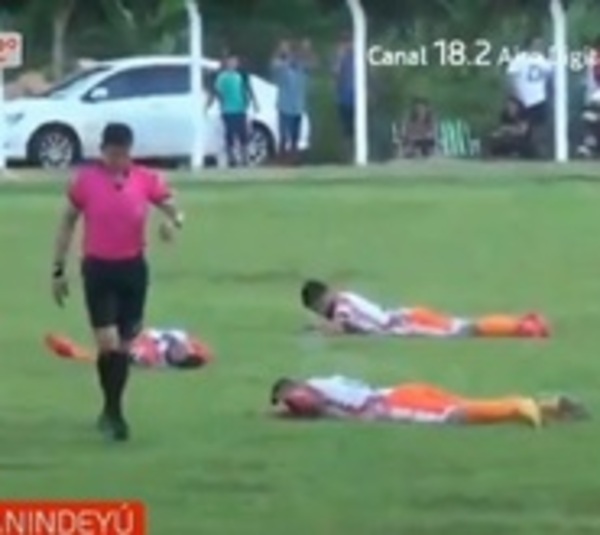 Ataque de avispas detuvo un partido de fútbol - Paraguay.com