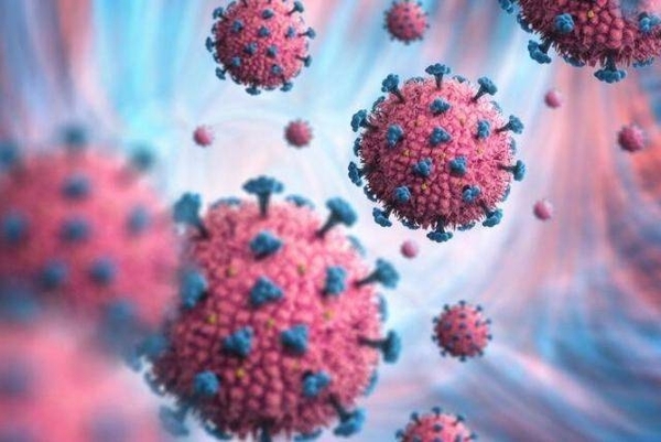 Diario HOY | Experimento italiano con otra proteína del coronavirus resulta "eficaz"