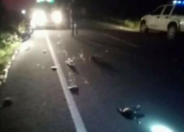 Hombre muere arrollado al detenerse a orinar al costado de la ruta - Noticiero Paraguay