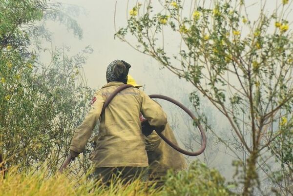 Focos de incendios se concentran en Itapúa y Misiones