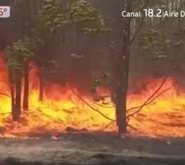 Fuertes incidentes en el Mercado 4 tras intento de desalojo - Paraguay.com