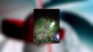 Atropellan, matan y abandonan a motociclista en San Pedro del Paraná