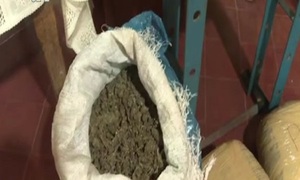 Microtraficantes proveerían de armas a consumidores - SNT
