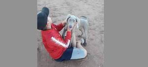 Crónica / Llorando, un niño ofrece sus ahorros para que le devuelvan a su perrito