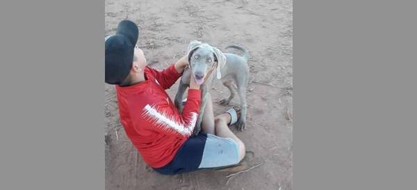 Crónica / Llorando, un niño ofrece sus ahorros para que le devuelvan a su perrito