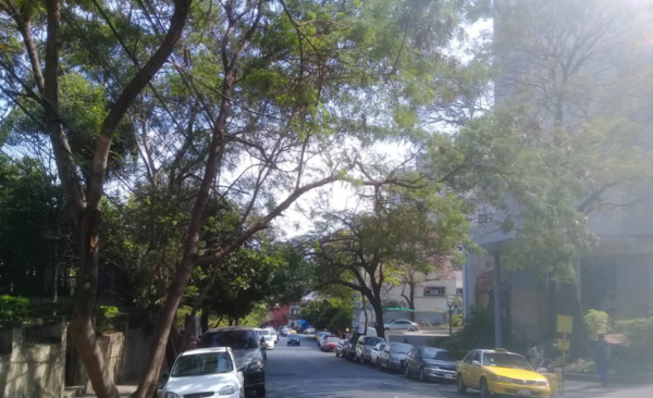 Diario HOY | Qué zonas de Asunción cuentan con alto nivel de aire insalubre