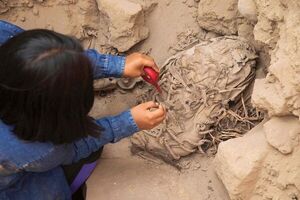 Perú halla seis momias preincas de infantes - Ciencia - ABC Color