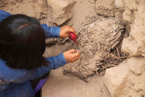 Perú halla seis momias preincas de infantes - Ciencia - ABC Color