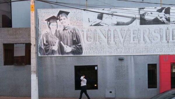 LAS UNIVERSIDADES SON CONSTITUCIONALMENTE UN BIEN PUBLICO I