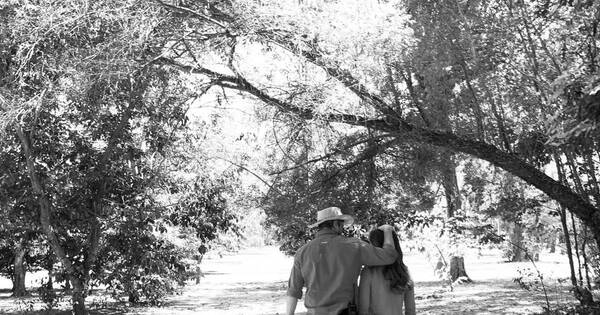 La Nación / Primera Dama tiró un mensaje de amor y llovieron críticas a Abdo