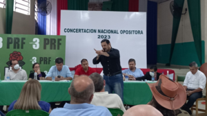 “Opositores regalan las elecciones a colorados” - El Independiente