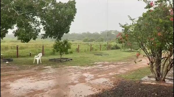 Lluvias favorecen al sector de la ganadería en Fuerte Olimpo - Noticias del Chaco - ABC Color