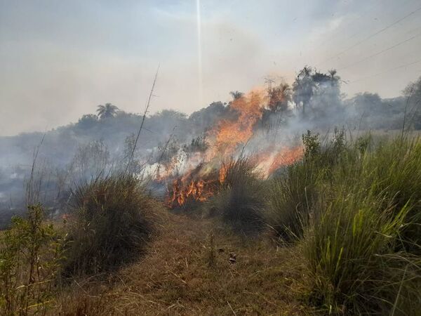 Continúa lucha contra incendios forestales en Ayolas - Nacionales - ABC Color