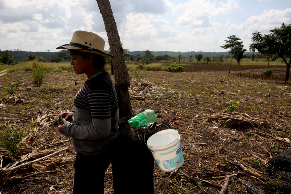 Canadá, Colombia, El Salvador y Perú protegerán los suelos junto con el IICA - MarketData