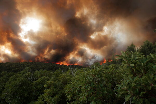 Los incendios forestales ya consumieron 519.000 hectáreas en el noreste de Argentina - MarketData