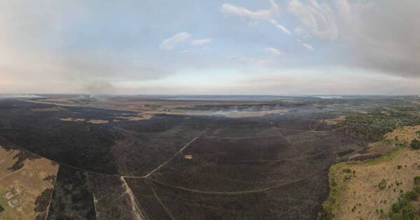 La Nación / Sector productivo fue fuertemente afectado por incendios en Ayolas, según intendente